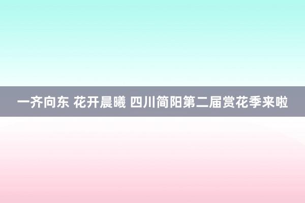 一齐向东 花开晨曦 四川简阳第二届赏花季来啦